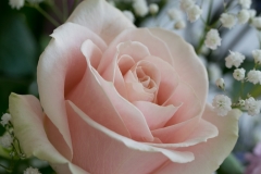 Gallery-3